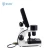 Import Portable nailfold capillary microcirculation microscopes for sale from China