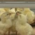 Import Poultry Nipple Drinkers Automatic Nipple Drinking System for Chicken Farm from China