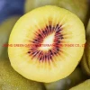 Premium Golden Fresh Kiwi for Export Cheap Price Chinese Supplier