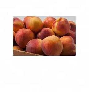 Premium Quality Fresh Peaches