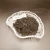 Import Price of Terbium Oxide Tb4O7/Tb2O3 Rare earth products from China