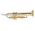 Import Professional Brass Gold Lacquer Bach Trumpet/Trompeta from China