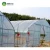 Import Professional high tunnel plastic film hydroponic greenhouse systems from China