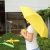 Import Promotional Fruit Banana Shape Folding Umbrella Mini Bottle Umbrella from China
