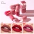 Import Pudaier Matte Capsule Lipstick Waterproof Cosmetic Easy To Carry Lipstick from China