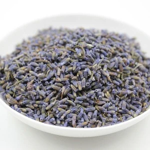 Pure and fresh Best price high quality  natural Lavender flower Tea for sale