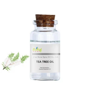 Pure natural plant essential oil Tea Tree Oil Cajeput essential oil