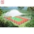 Import Pvdf tent membrane structure architecture for gym from China