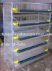 quail cage with automatic drinking system/ quail breeding cages /A Type layer cage (Lydia : 0086 15965977837)