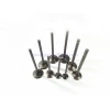 qualified intake and exhaust valves supplier in China for famous brands