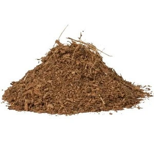 Quality Coco Peat Cheap Price