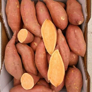 Red / Yellow Chinese Fresh Sweet Potato