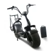 Removable Battery Citycoco 2 Wheels Motorcycle Golf Electric Scooter