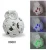 Import resin owl with solar light from China