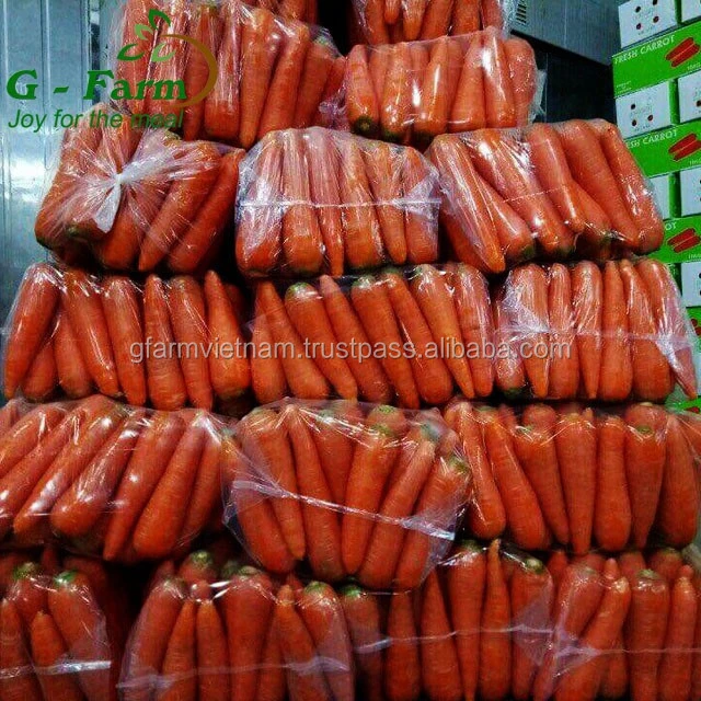 Season 2020 From Vietnam organic fresh carrot size S M L 2L 3L carton box 5kg 10kg length size 16-24cm