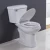 Import Single Flush Comfort Height ADA compliant Two Piece Toilet from China