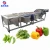 Small vegetable and fruit washer machine price