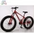 Import Student foldable fat bike adult ultra light single speed variable speed fat bicycle 20 inch man wide wheel snow bike from China