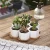 Import Succulent Cactus Flower Plant Pot with Bamboo Tray and Ceramic Pot from China