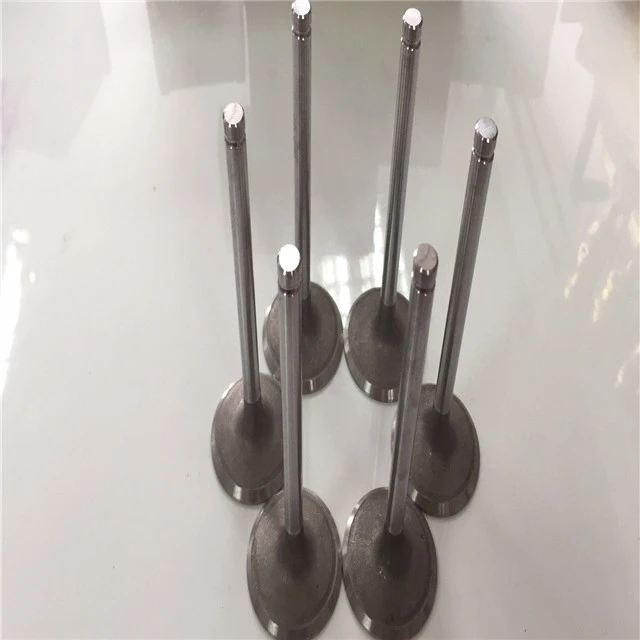 Suitable for N42B20/N42B18/N46B20/M54/N16B16/N20/N52/N54/N55/N62 OEM 11 34 7 633 699/ Intake and exhaust valve