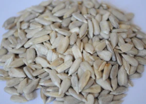 Sunflower Seeds Kernel For Edible Snacks Confectionery Grade Bakery Grade