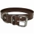 Import Superior Quality Waterproof Webbing Pet Accessories Collar from China