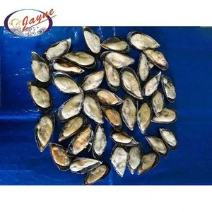Supplier selling high quality live shellfish without shell blue mussel meat