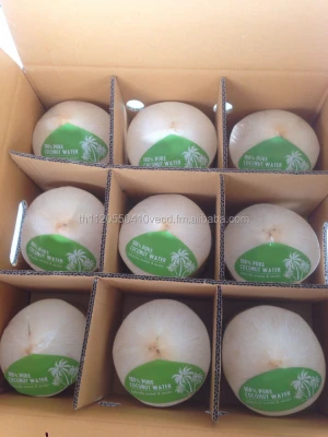 Thai Fresh Coconut , Diamond Shape Young Coconut/ Polished Young Coconut, Coconut Water 100% HIGH QUALITY.