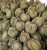 Thailand Premium Export Fresh/Frozen Mhonthong Durian