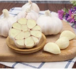 The newst crop garlic chinese garlic  wholesale high quality fresh garlic