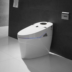 Top Sanitary Ware Commercial Electric Automatic Toilet ZJS-04