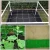Import Top Selling Stretched plastic  Support  mesh netting for cucumber from China
