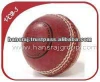 Toy Accessories/Toy Cricket Ball