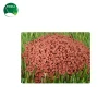 TPE infill material for artificial grass system
