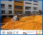 Citrus Juice Processing Machine, Citrus Juice Processing Plant