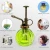 Import Unique 200ML Decorative Glass Water Spray Self Watering Can Pot for Potted Plants from China