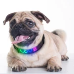 USB Rechargeable Dog Collar APP Control Led Collar Dog Collar Wifi APP Smart Phone Controlled Screen Scrolling Message