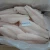 Import Vietnam frozen pangasius fillets basa fish from China