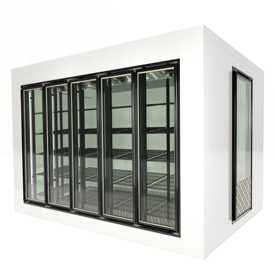 Walk in freezer for cold storage and frozen storage,commercial display glass door