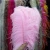 Import Wedding Home Party Decorative Ostrich Feather Peacock Feather from China