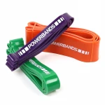Wellshow Sport OEM Elastic Latex Resistance Band Exercise Loop for Yoga Pilates Stretching Strength Fitness