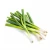 Import Wholesale 100% Fresh Spring Green Onion With Best Price !!! Sunfruit from Vietnam