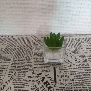 wholesale 6*10cm mini decoration handicraft artificial plants