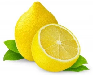 Wholesale citrus fruit fresh Lemon  High Quality Fresh Lemon Fresh Citrus Fruit anyue eureka lemon for indonesia market