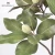 Import Wholesale decorative artificial plant magnolia leaf with fruit from China
