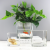 Import Wholesale Home Decoration Use Crystal Colored Clear Cube Glass Vases Cheap Price Square Shaped Vase from China