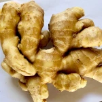 Wholesale newest crop vegetables yellow fresh ginger