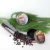Import Wholesale OEM Body Scrub Brown Sugar and Coffee, Herbal Body Scrub Thailand from Thailand