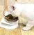 Import Wholesale Pet Bowl Feeding Dishes Unique High Food Bowl Dog from China