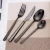 Import Wholesale PVD Silverware Metal Matt Black Matte Cutlery Set 18/10 Stainless Steel Matte Black Flatware Set from China